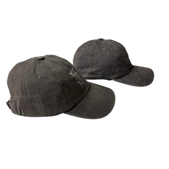 Gray Stone Washed Bird Nerd| Cardinal Cap - Picture 3 of 4